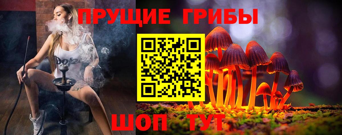 Галлюциногенные грибы Psilocybe  Вход с VPN  Мариинск 